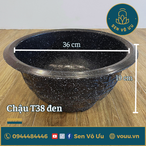 Chậu nhựa T38 kín đáy trồng sen (đen)