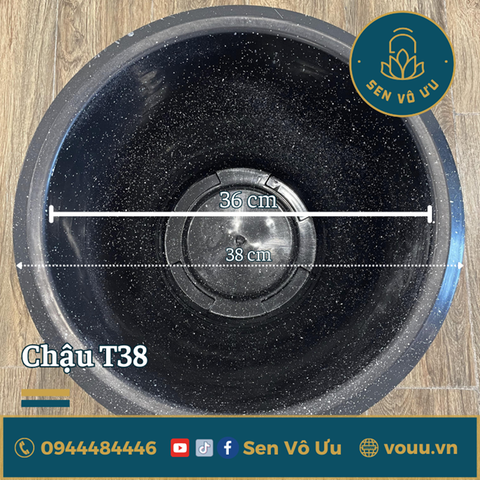 Chậu nhựa T38 kín đáy trồng sen (đen)
