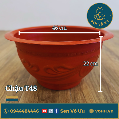 Chậu nhựa T48 kín đáy trồng sen