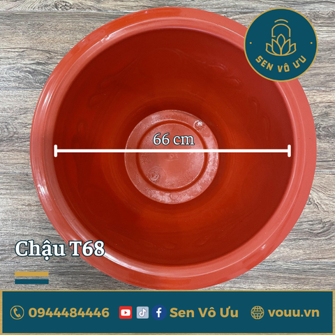Chậu nhựa T68 kín đáy trồng sen