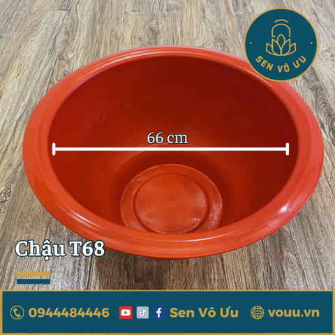 Chậu nhựa T68 kín đáy trồng sen