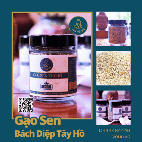 Gạo sen Bách Diệp Tây Hồ sấy khô | Sen Vô Ưu