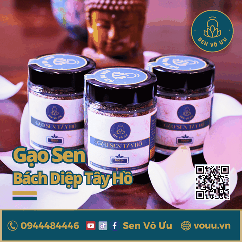 Gạo sen Bách Diệp Tây Hồ sấy khô | Sen Vô Ưu