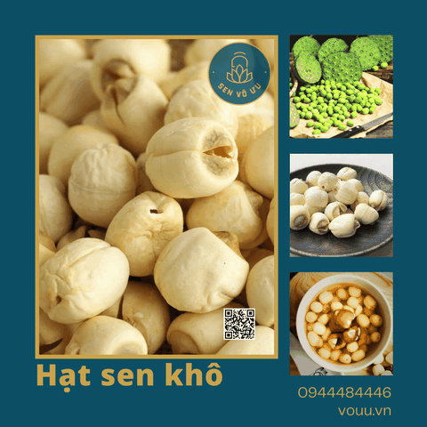 Hạt sen khô bở thơm ngon đặc biệt | Sen Vô Ưu
