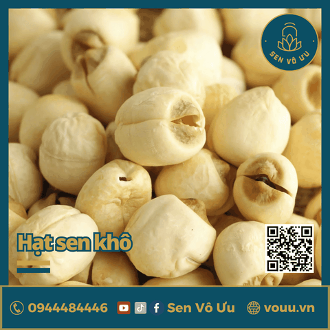 Hạt sen khô bở thơm ngon đặc biệt | Sen Vô Ưu