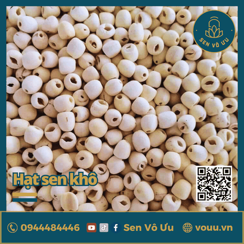 Hạt sen khô bở thơm ngon đặc biệt | Sen Vô Ưu