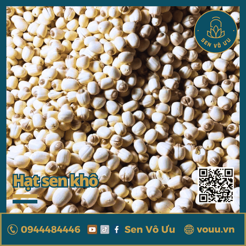 Hạt sen khô bở thơm ngon đặc biệt | Sen Vô Ưu