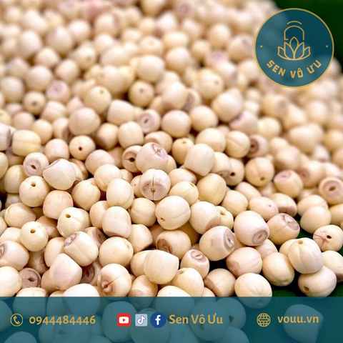 Hạt sen khô 500gr bở ngon | Sen Vô Ưu