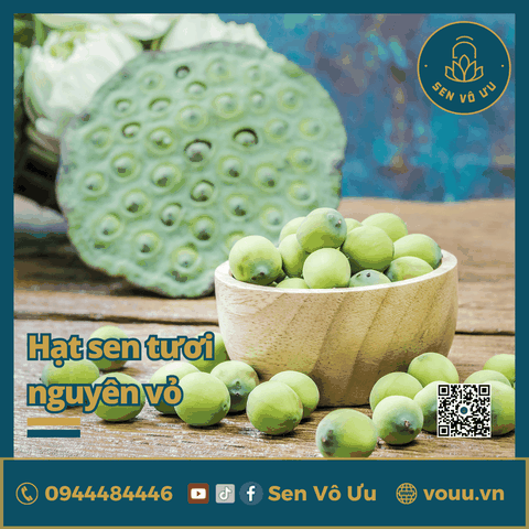 Hạt sen tươi nguyên vỏ | Sen Vô Ưu