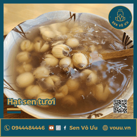 Hạt sen tươi bở thơm ngon | Sen Vô Ưu