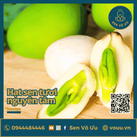 Hạt sen tươi bở thơm ngon | Sen Vô Ưu