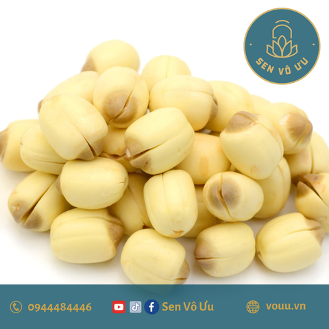 Hạt sen khô 500gr bở ngon | Sen Vô Ưu