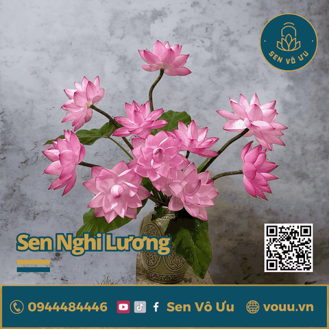 Bó 10 bông hoa sen nghìn cánh Nghi Lương | Sen Vô Ưu
