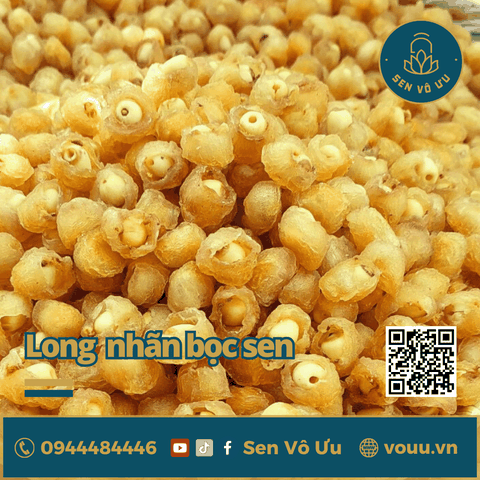 Long nhãn bọc hạt sen ăn liền bổ dưỡng | Sen Vô Ưu