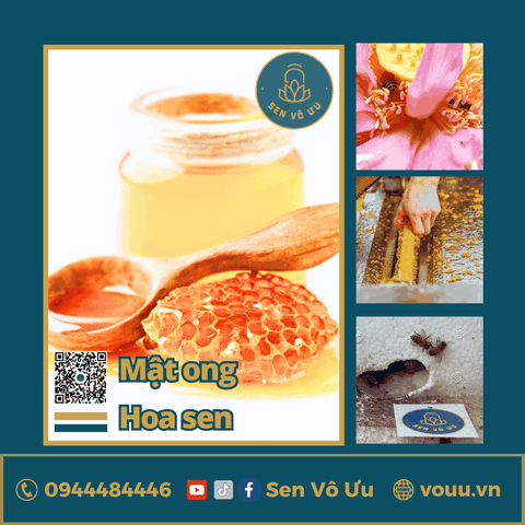 Mật ong hoa sen nguyên chất | Sen Vô Ưu