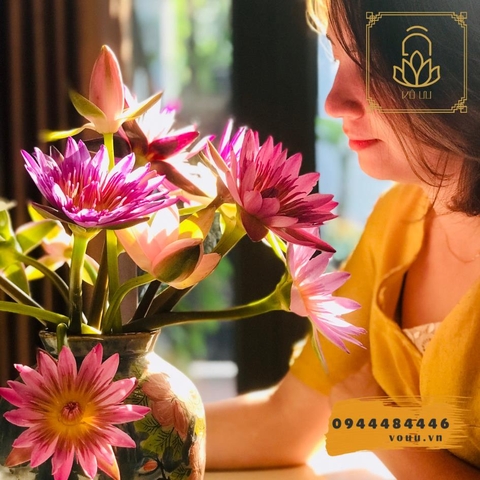Bó 10 bông hoa súng nhiều màu | Sen Vô Ưu