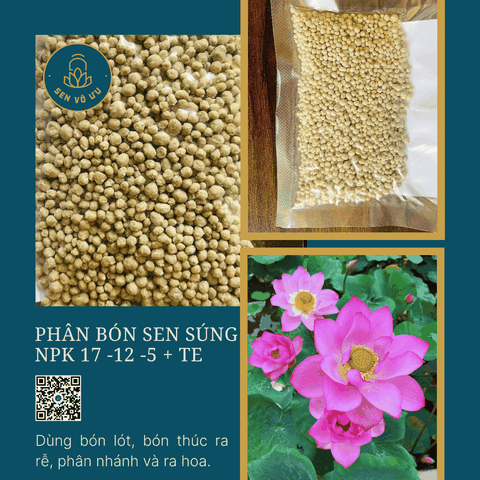 Phân bón cho sen súng NPK 17-12-5+TE | Sen Vô Ưu