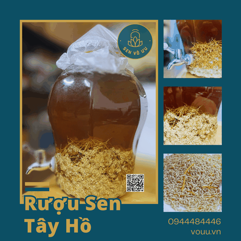 Rượu sen Bách Diệp Tây Hồ | Sen Vô Ưu