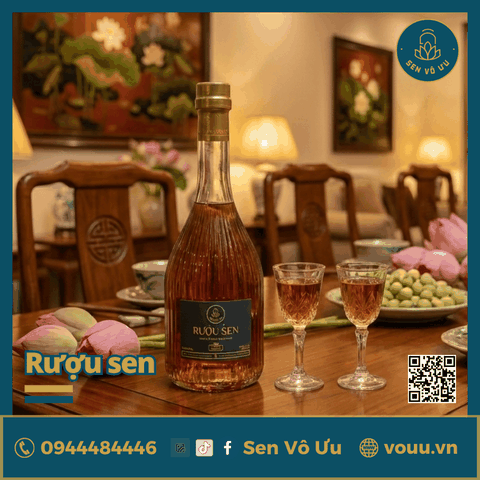 Combo Đoàn viên - An Khang | Sen Vô Ưu