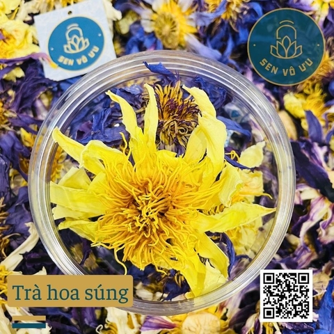 Trà hoa súng lọ nhỏ | Sen Vô Ưu