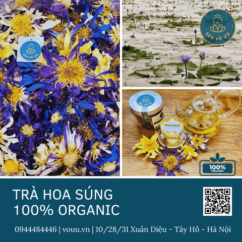 Trà hoa súng | Trà sen xanh Ai Cập | Sen Vô Ưu