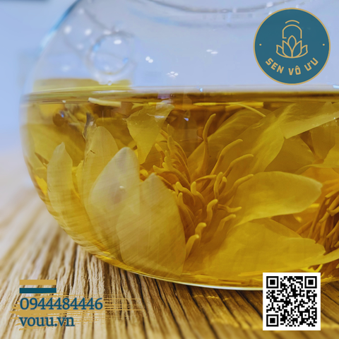 Trà hoa súng lọ to | Sen Vô Ưu