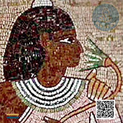 Trà hoa súng | Trà sen xanh Ai Cập | Sen Vô Ưu