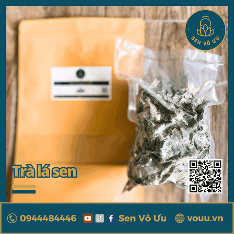 Trà lá sen | Lá sen khô giảm cân | Sen Vô Ưu