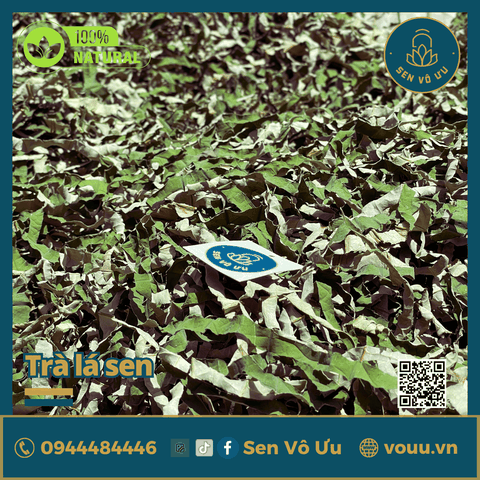 Trà lá sen | Lá sen khô giảm cân | Sen Vô Ưu