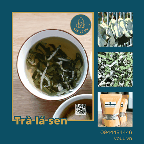 Trà lá sen | Lá sen khô giảm cân | Sen Vô Ưu