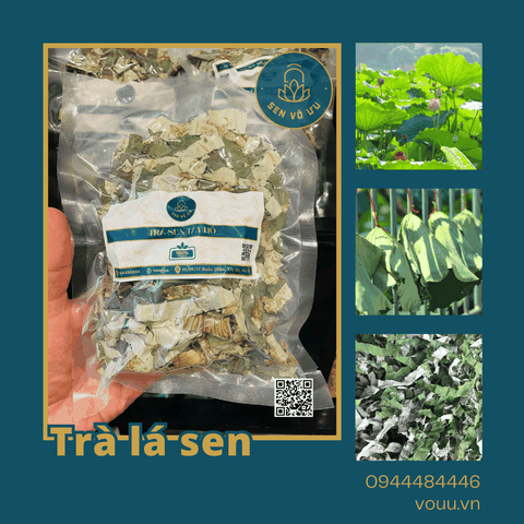 Trà lá sen | Lá sen khô giảm cân | Sen Vô Ưu