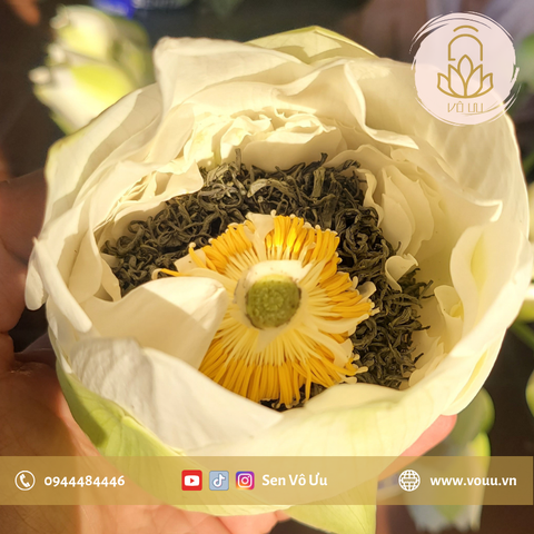 Trà ướp sen Bạch Liên | Sen Vô Ưu