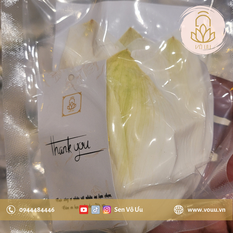 Trà ướp sen Bạch Liên | Sen Vô Ưu