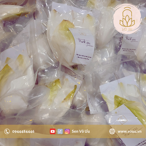 Trà ướp sen Bạch Liên | Sen Vô Ưu