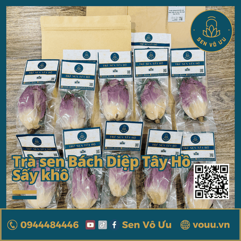 Trà ướp búp sen Tây Hồ sấy khô | Sen Vô Ưu