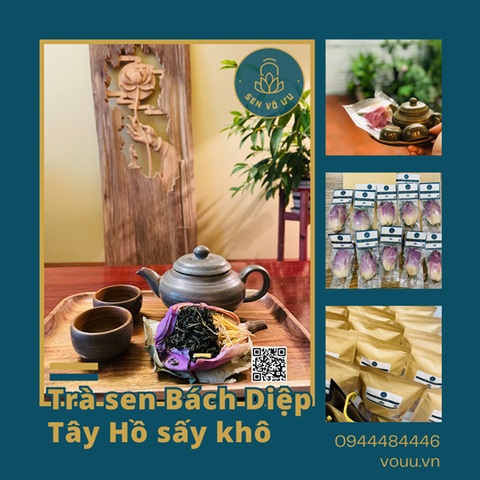 Trà ướp búp sen Tây Hồ sấy khô | Sen Vô Ưu