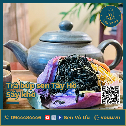 Trà ướp búp sen Tây Hồ sấy khô | Sen Vô Ưu