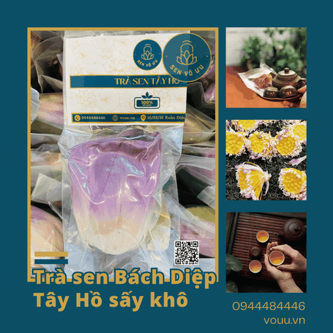 Trà ướp búp sen Tây Hồ sấy khô | Sen Vô Ưu