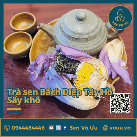 Combo liên hoa phúc lộc: Trà búp sen - Rượu sen | Sen Vô Ưu