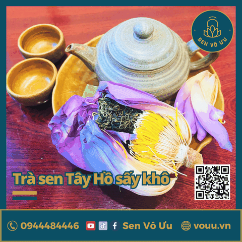 Trà ướp búp sen Tây Hồ sấy khô | Sen Vô Ưu