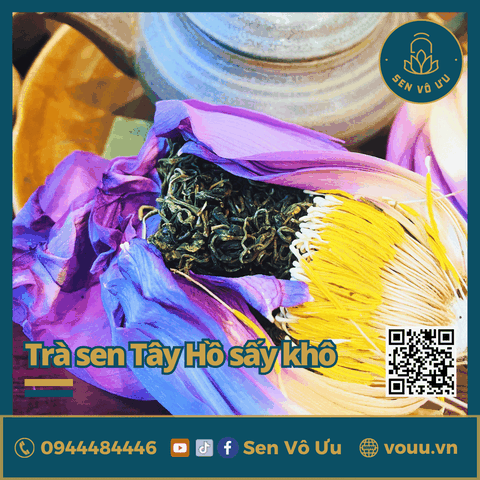 Trà ướp búp sen Tây Hồ sấy khô | Sen Vô Ưu