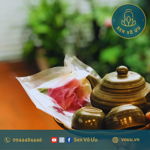 Trà ướp bông sen tươi Bách Diệp Tây Hồ | Sen Vô Ưu
