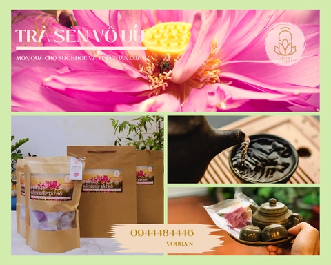 Trà búp sen Tây Hồ đặc biệt | Sen Vô Ưu