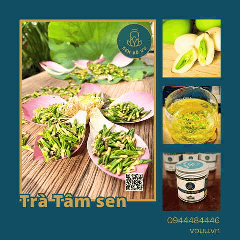 Trà tâm sen (Trà tim sen) | Sen Vô Ưu