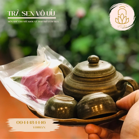 10 bông trà ướp bông sen Hồ Tây | Sen Vô Ưu