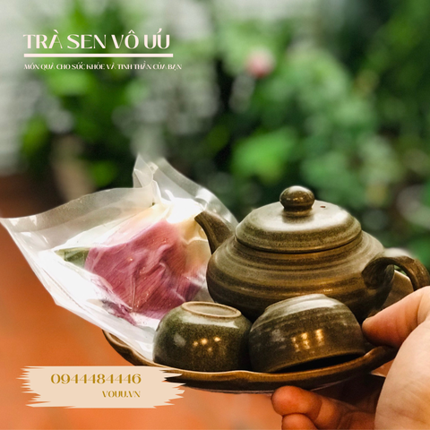 Trà búp sen Tây Hồ đặc biệt | Sen Vô Ưu