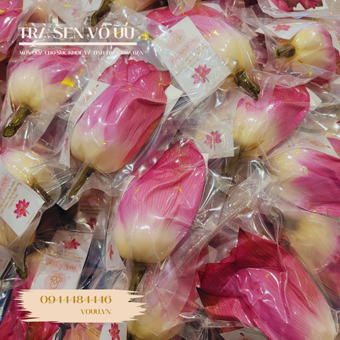10 bông trà ướp bông sen Hồ Tây | Sen Vô Ưu