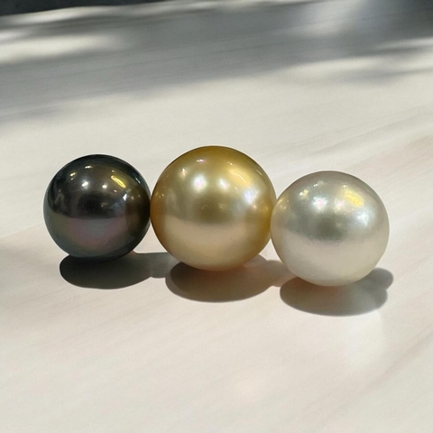 Một Con Trai Ngọc Có Bao Nhiêu Hạt Ngọc?