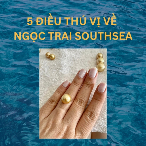 Infographic 5 Điều Thú Vị Về Ngọc Trai Southsea