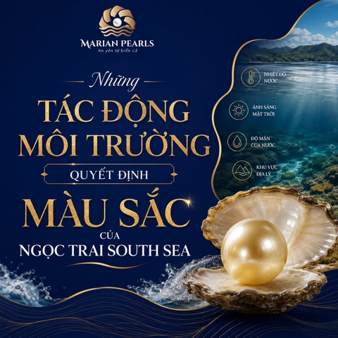 Những Tác Động Môi Trường Quyết Định Màu Sắc Của Ngọc Trai South Sea